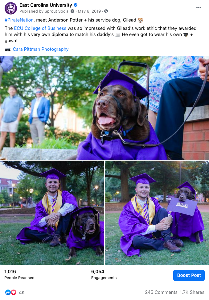 #PirateNation, meet Anderson Potter + his service dog, Gilead ? The ECU College of Business was so impressed with Gilead's work ethic that they awarded him with his very own diploma to match his daddy's ? He even got to wear his own ? + gown! ?: Cara Pittman Photography